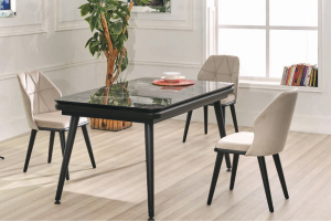 YEMEK ODASI MUTFAK MASA SANDALYE TAKIMI 160