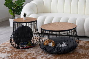 ORTA SEHPA CAT HOUSE