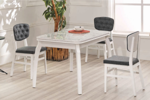 YEMEK ODASI MUTFAK MASA SANDALYE TAKIMI 225