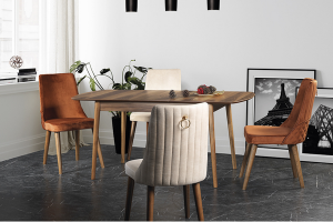 YEMEK ODASI SANDALYE ALİNS