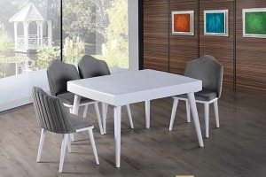 YEMEK ODASI MUTFAK MASA SANDALYE TAKIMI ORKİDE BEYAZ