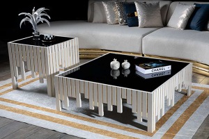 SEHPA TAKIMI 119-309